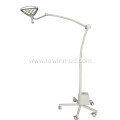 Portable beauty examination lamp